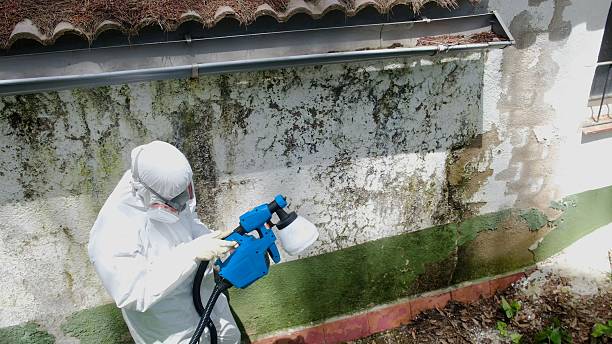 Top rated local Mold Inspection And Testing specialists in Ashland, VA